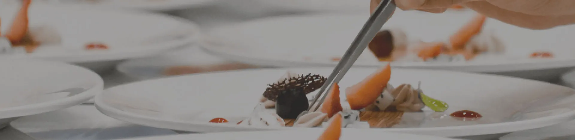 indoguna.vina products